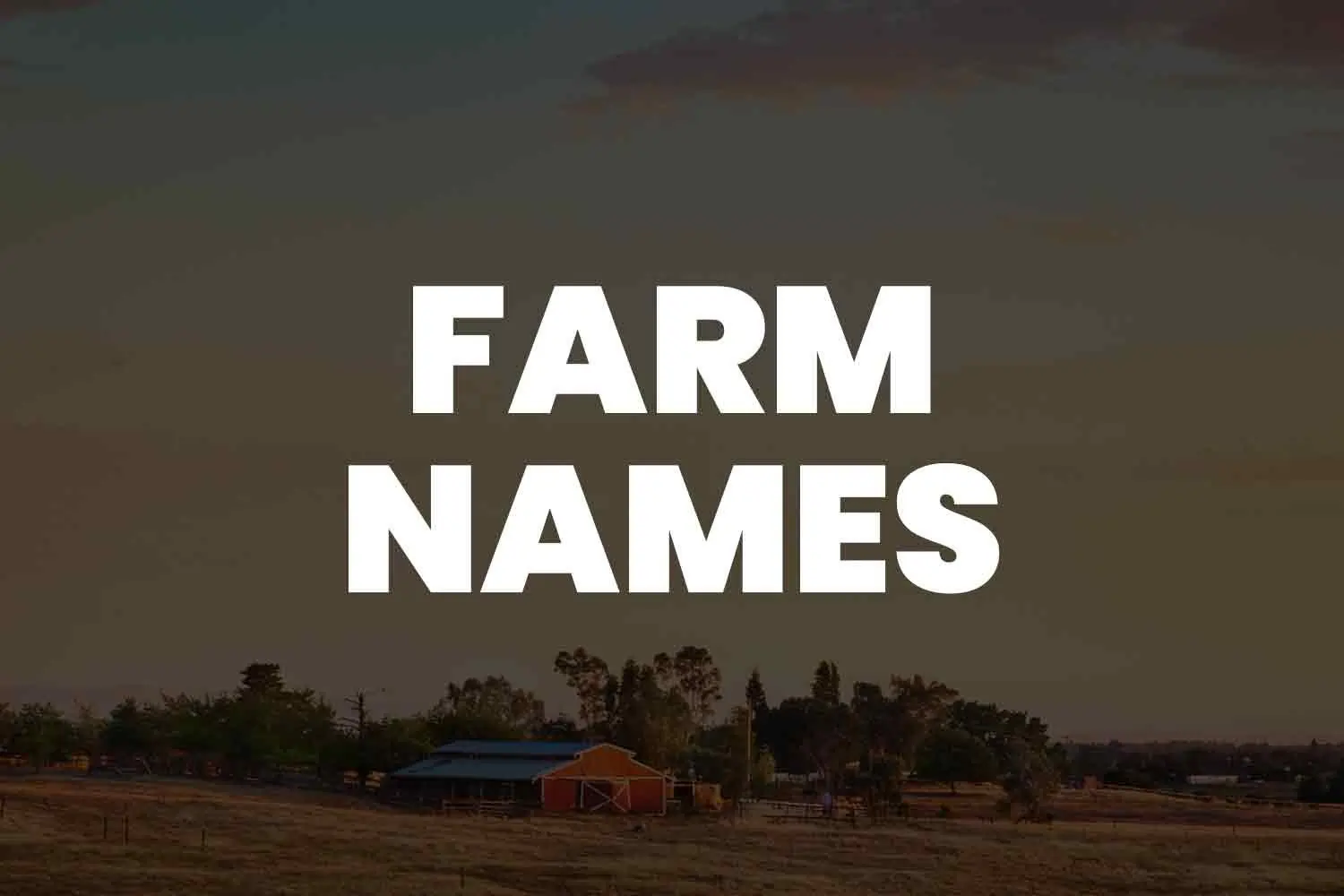 500+ Best Farm Names to Inspire You 2024 - Unique and Creative Farm Names for Your