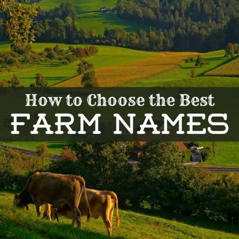 500+ Best Farm Names to Inspire You 2024 - Unique and Creative Farm Names for Your