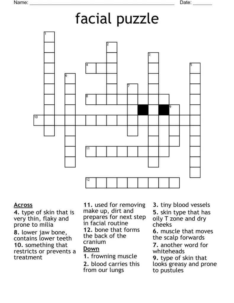 Oily Skin Area Crossword Clue